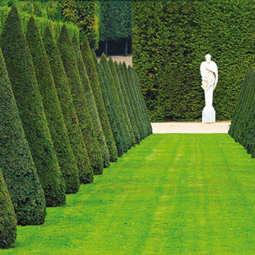 Prestige Lawn - 10kg - 400m2